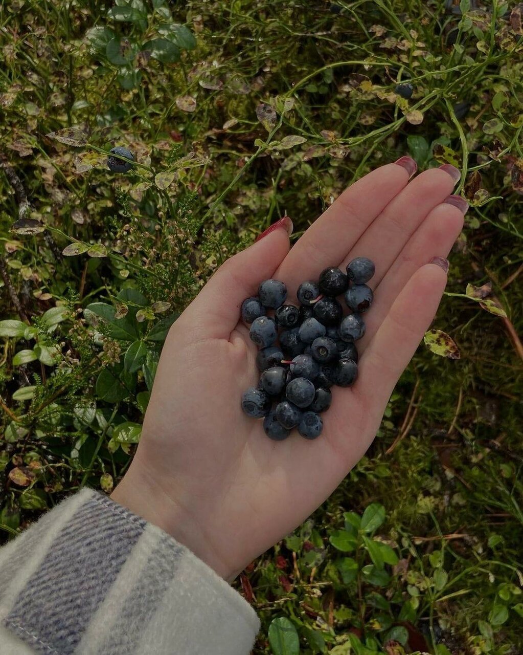 Кемпинги New Camp Эссойла-150