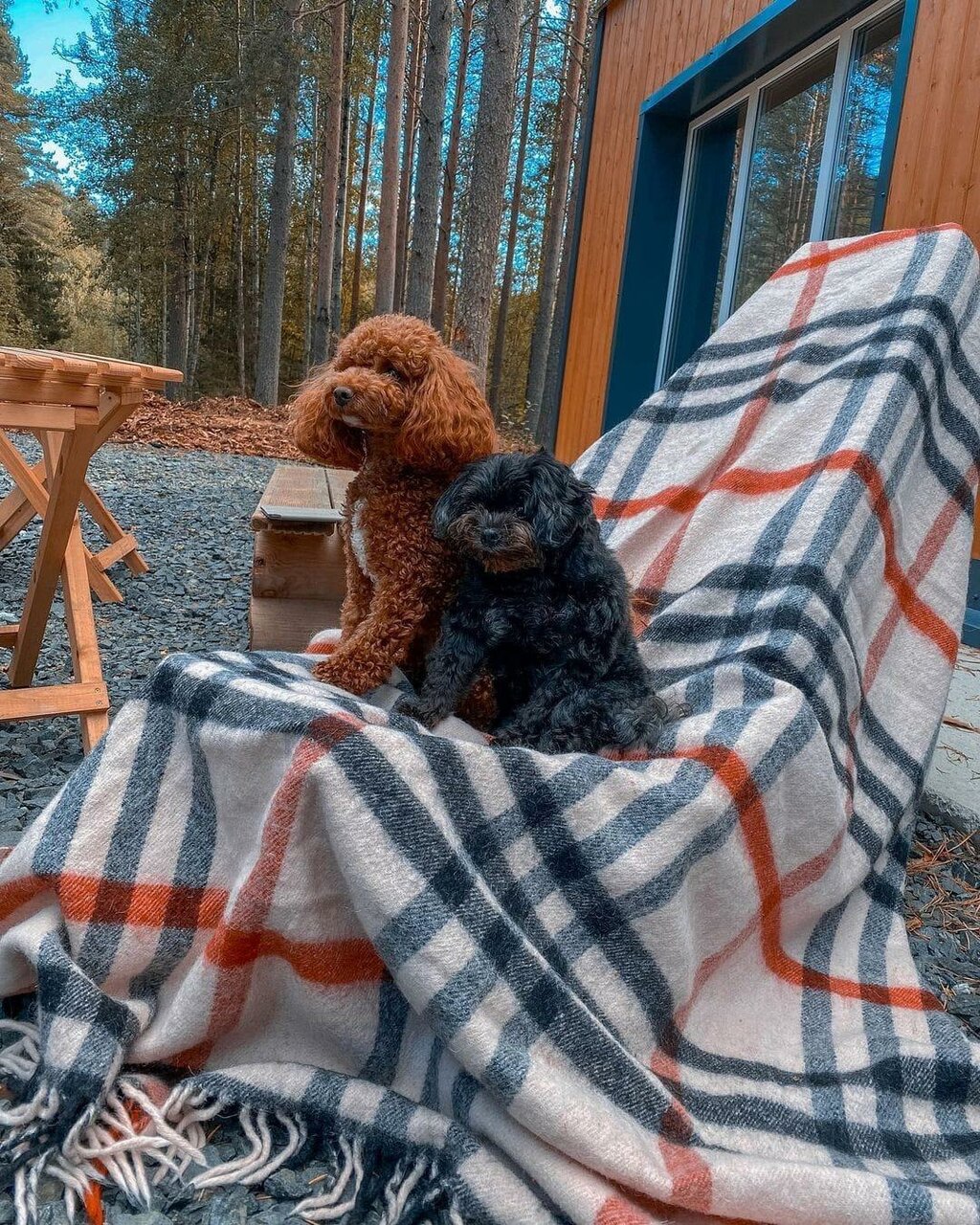 Кемпинги New Camp Эссойла-52