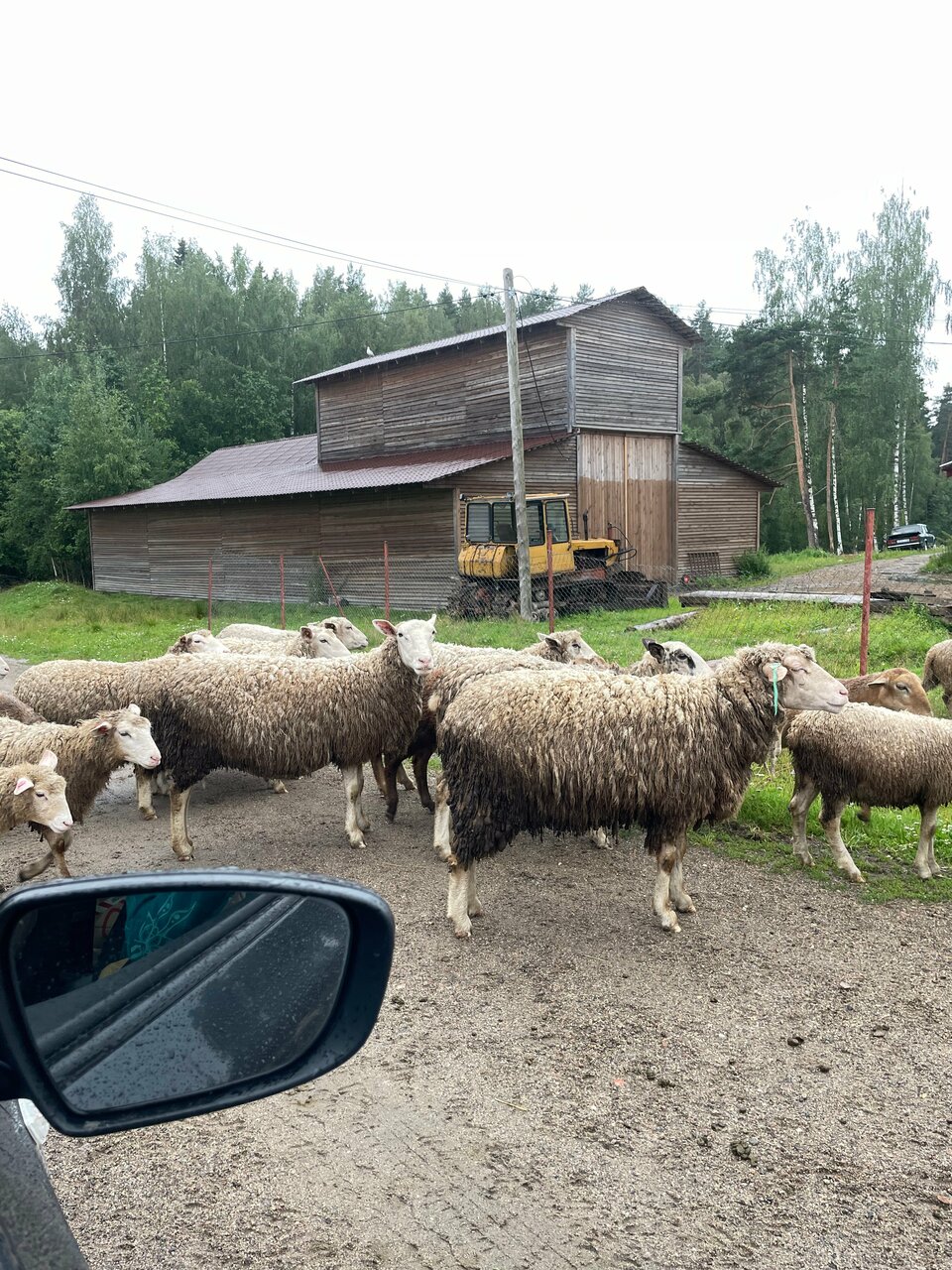 Кемпинги New Camp Эссойла-188