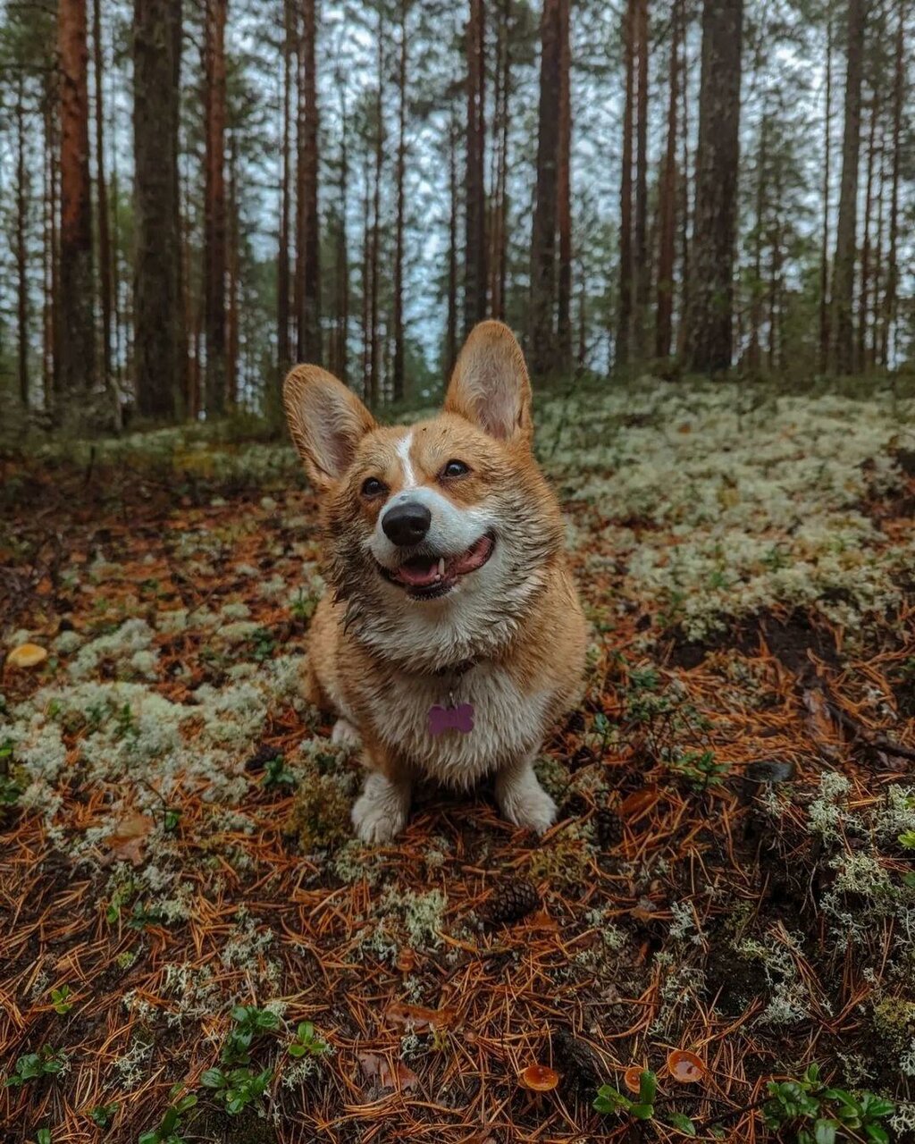 Кемпинги New Camp Эссойла-20