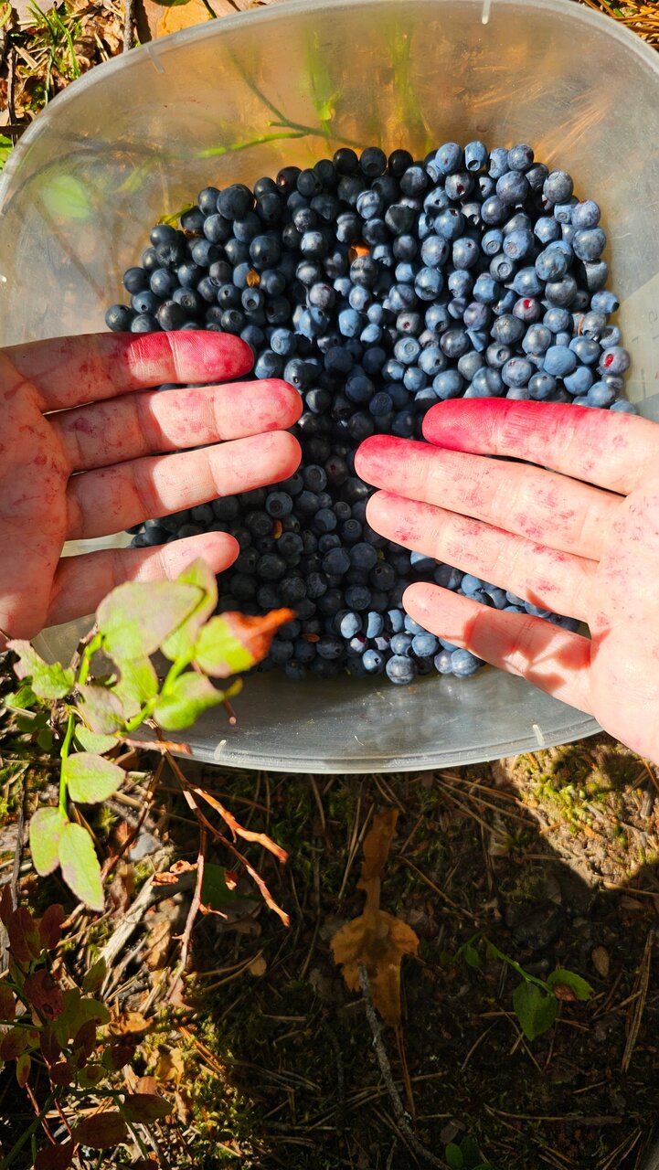 Кемпинги New Camp Эссойла-178