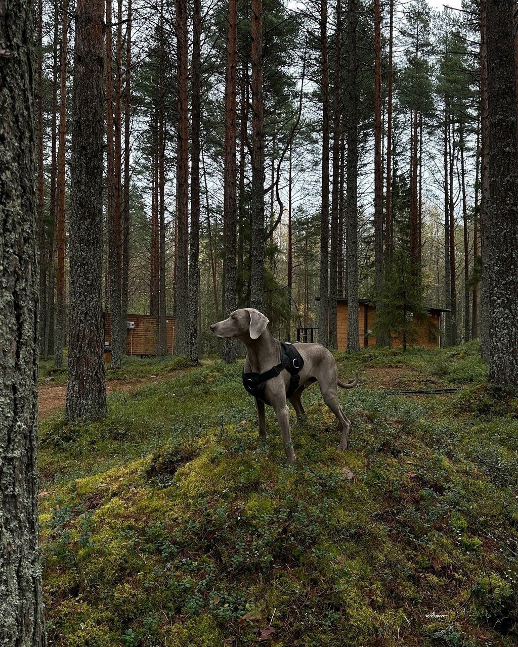 Кемпинги New Camp Эссойла-62