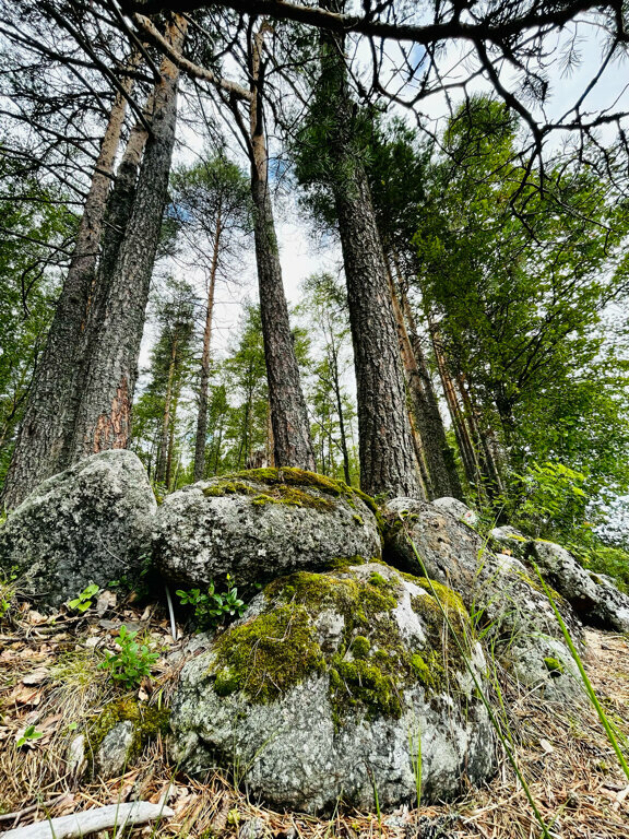 Кемпинги New Camp Эссойла-230