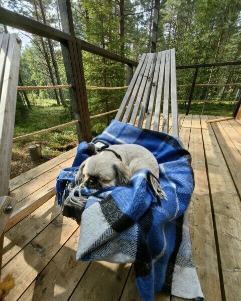 Кемпинги New Camp Эссойла