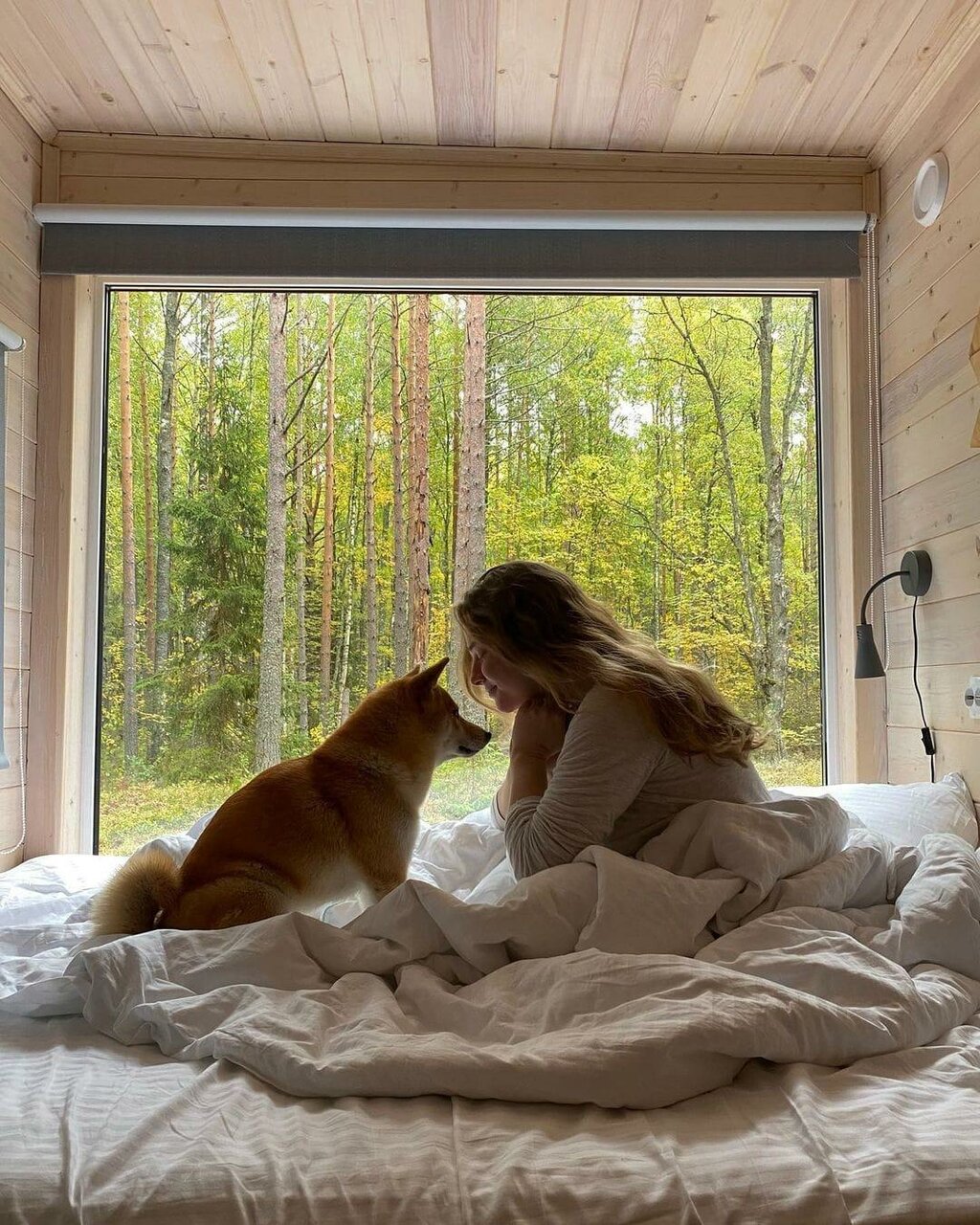 Кемпинги New Camp Эссойла-87