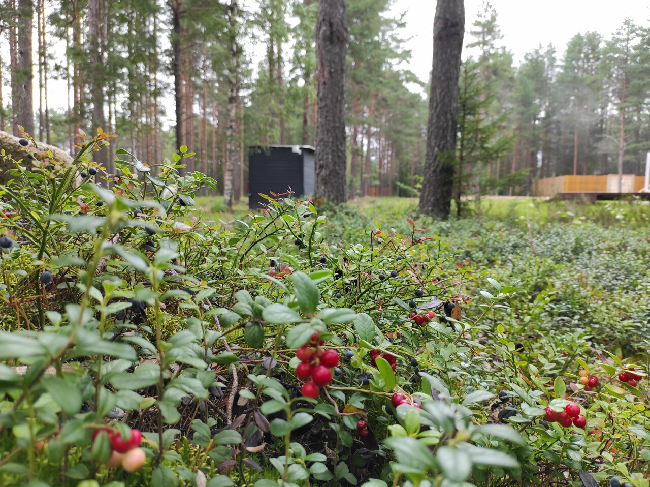 Кемпинги New Camp Эссойла-216