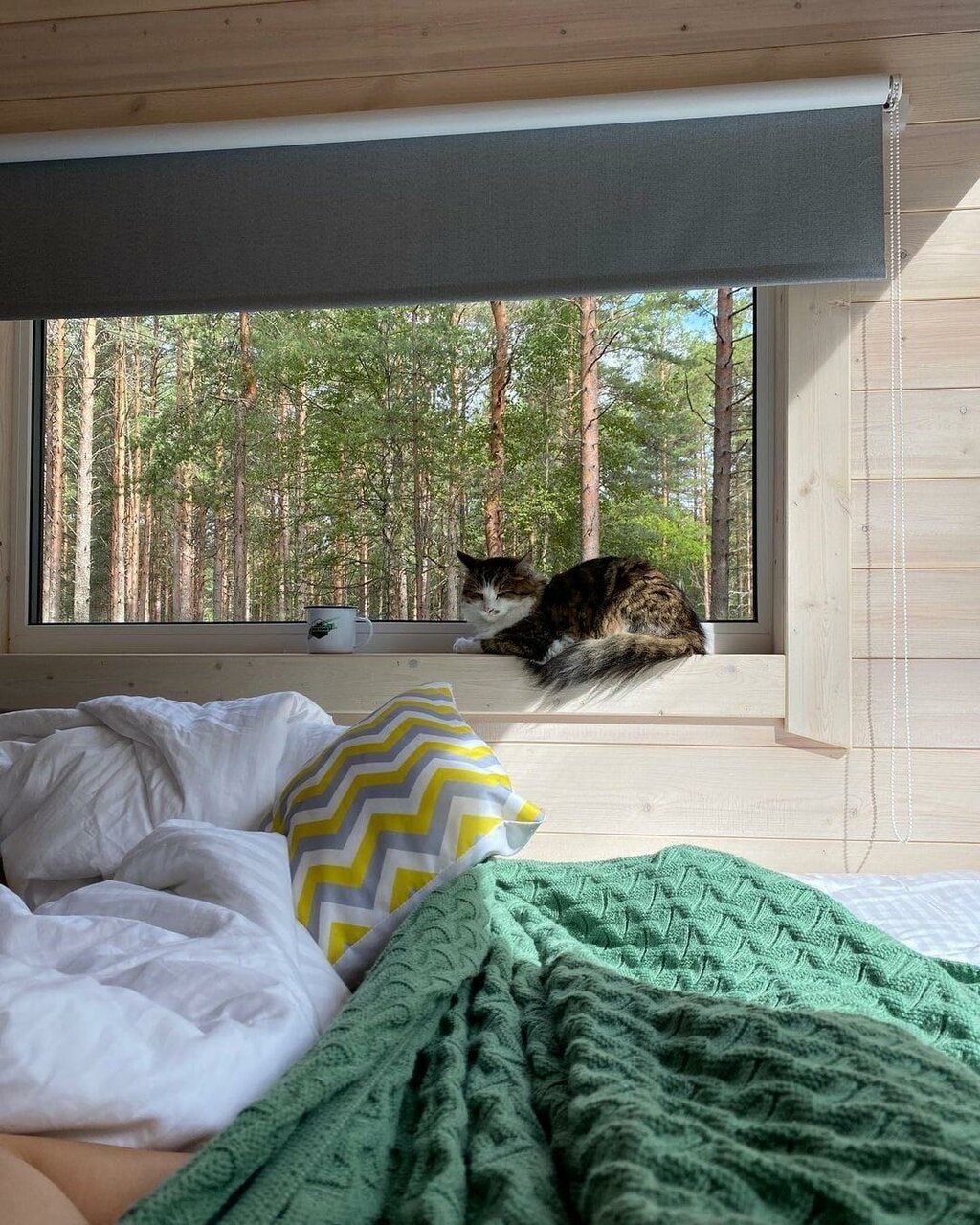 Кемпинги New Camp Эссойла-49