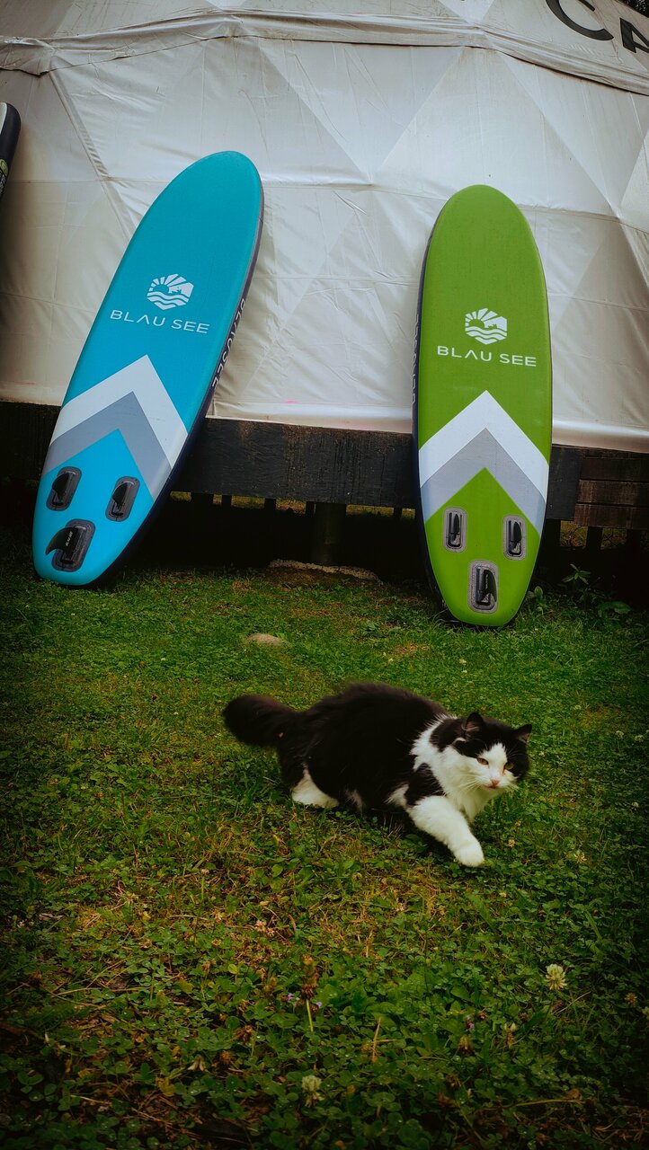 Кемпинги New Camp Эссойла-236