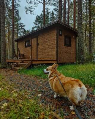 Кемпинги New Camp Эссойла Двухместный номер с 1 кроватью или 2 отдельными кроватями и террасой-1