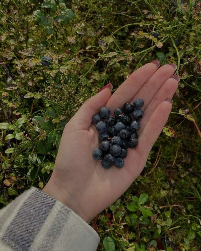 Кемпинги New Camp Эссойла-149