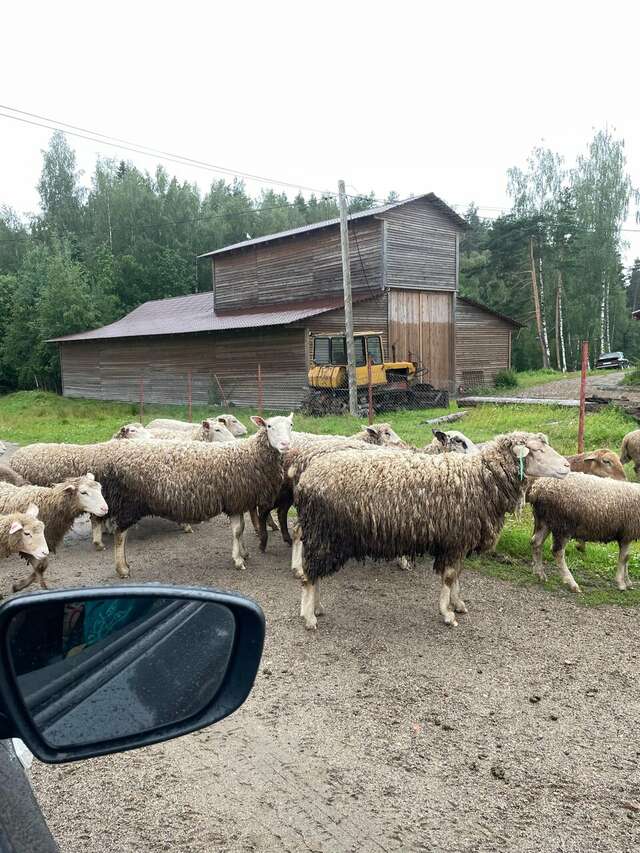 Кемпинги New Camp Эссойла-187
