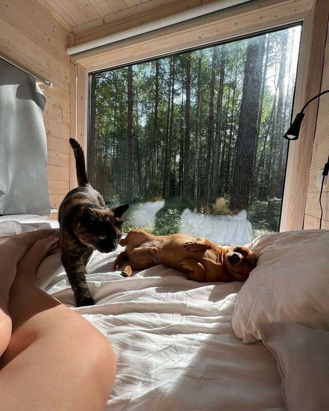 Кемпинги New Camp Эссойла-23