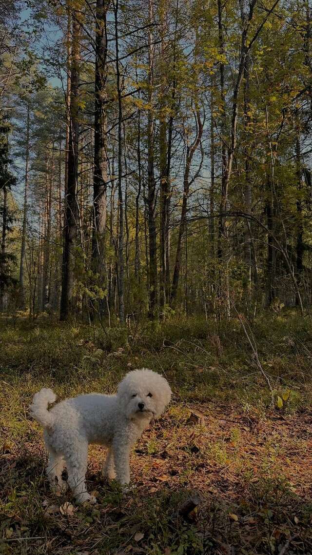 Кемпинги New Camp Эссойла-224