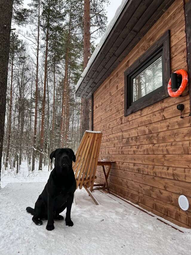 Кемпинги New Camp Эссойла-45
