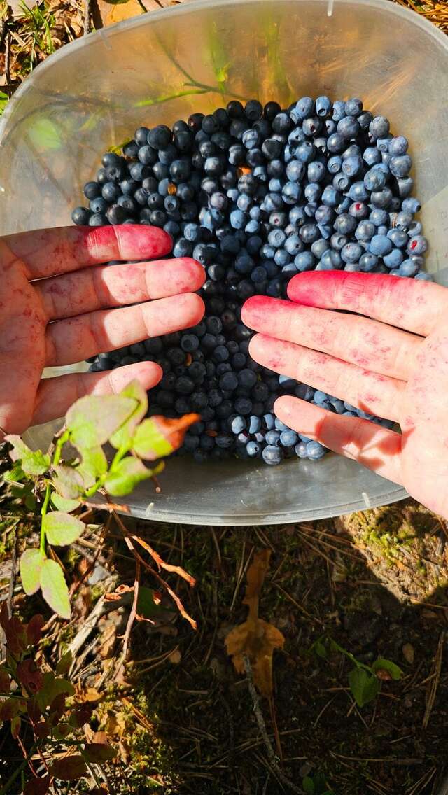 Кемпинги New Camp Эссойла-177