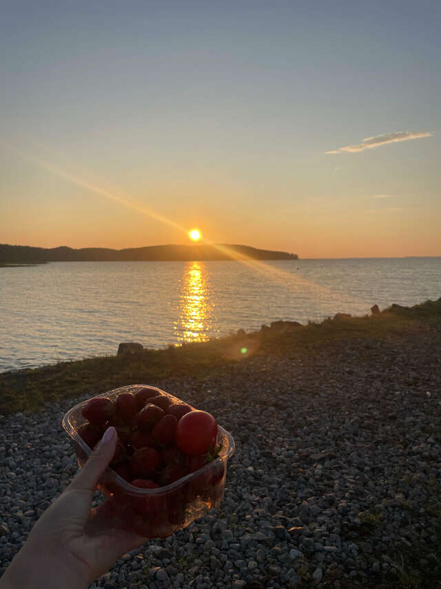 Кемпинги New Camp Эссойла-230
