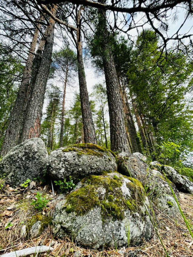 Кемпинги New Camp Эссойла-229