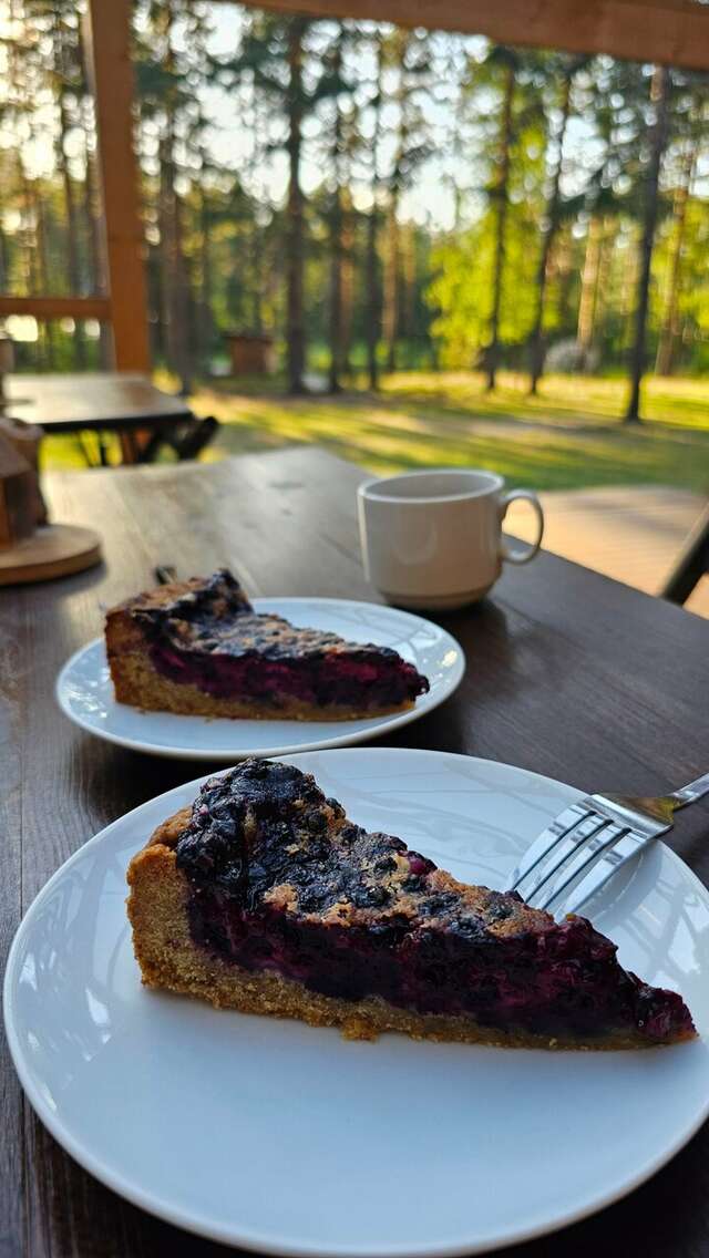 Кемпинги New Camp Эссойла-228