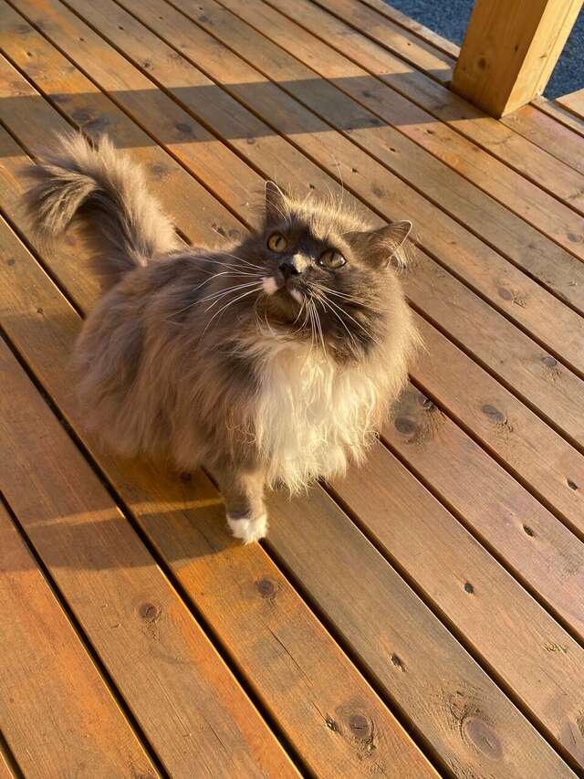 Кемпинги New Camp Эссойла-174