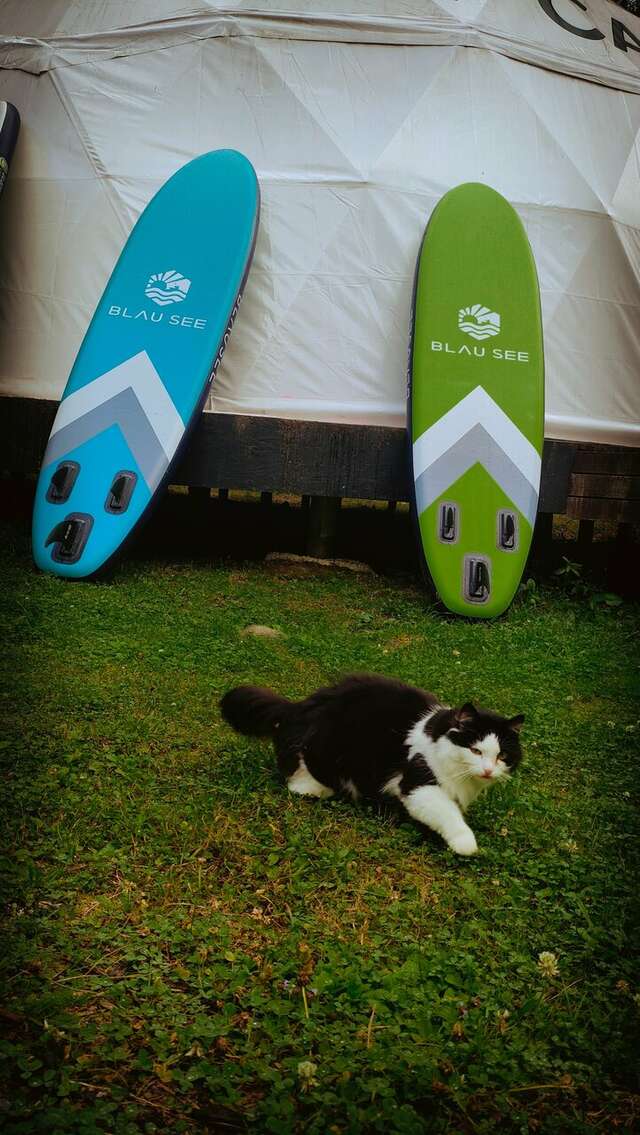 Кемпинги New Camp Эссойла-235